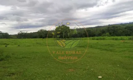 FAZENDA DE DUPLA APTIDÃO, COM 310 ALQUEIRES NA REGIÃO DE IPAMERI - GO  FA00196