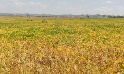 MARAVILHOSA FAZENDA DE 3000 HECTARES EM BURITIZEIRO - MG  FA00213