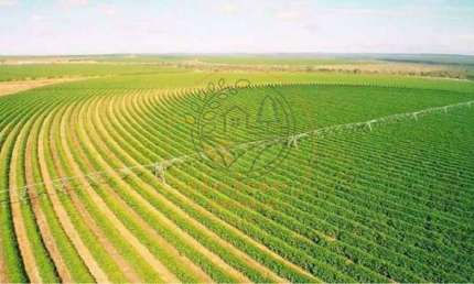 EXCLENTE FAZENDA DE CAFÉ NA REGIÃO DE BURITIZEIRO - MG  FA00209