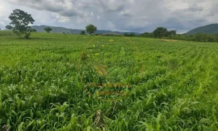 FAZENDA DE 2.725 HECTARES COM 2.000 CABEÇA DE GADO NA REGIÃO DE MONTE ALEGRE DE GOIÁS-GO FA00223