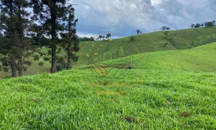 EXCELENTE ÁREA EM SAPUCAI MIRIM - MG COM 7 ALQUEIRES, COM VISTA DESLUMBRANTE  AR00096