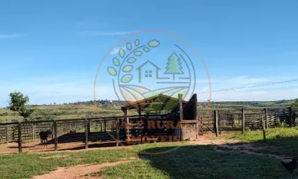EXCELENTE! FAZENDA DE GADO PRONTA EM SÃO GONÇALO - MG  FA00228