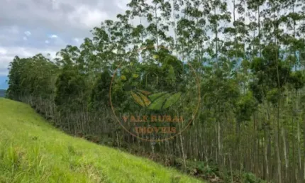 EXCELENTE ÁREA RURAL COM 8 ALQUEIRES EM SÃO FRANCISCO XAVIER - SP  AR00097