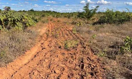 FAZENDA NO TOCANTINS COM 232 ALQUEIRES ,  DUPLA APTIDÃO  FA00243