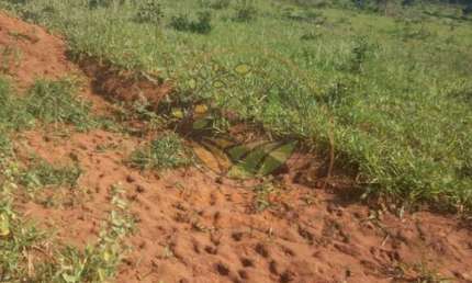 FAZENDA EM MINEIROS - GO COM 623 ALQUEIRES  FA00245