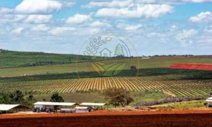 FAZENDA DE CAFÉ, 3.000 HECTARES NA REGIÃO DE VÁRZEA DA PALMA - MG  FA00250