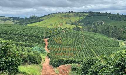 EXCELENTE FAZENDA  DE CAFÉ NO SUL DE MINAS COM 750 HECTARES  FA00252