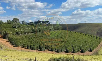 FAZENDA DE 790 HECTARES NA REGIÃO DO CIRCUITO DAS ÁGUAS, SUL DE MINAS FA00251
