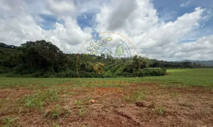 FAZENDA NA REGIÃO DE SÃO LOURENÇO - MG COM 127 HECTARES  FA00256