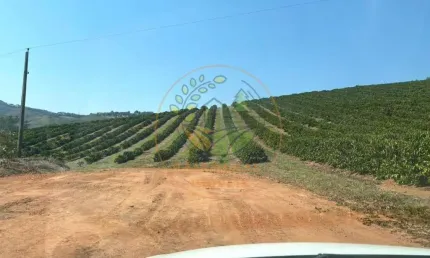 FAZENDA COM 126 HECTARES EM SÃO GONÇALO DO SAPUCAÍ- MG  FA00255