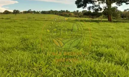 FAZENDA DE 44 ALQUEIRES COM DUPLA APTIDÃO NA REGIÃO DE ITABERAÍ - GO  FA00260