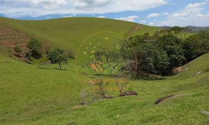 SITIO EXCELENTE COM 20 ALQUEIRES EM CAMPOS NOVOS DE CUNHA - SP  ST00234