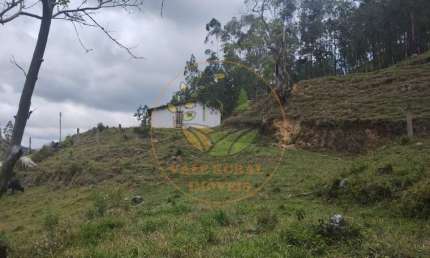 OPORTUNIDADE! SITIO EM NATIVIDADE DA SERRA COM 5 ALQUEIRES  ST00236