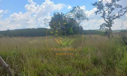 ÁREA DE 17,5 HECTARES EM LIMA DUARTE - MG COM NASCENTE E ESCRITURA AR00100