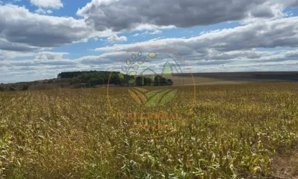 OPORTUNIDADE! FAZENDA EM ÁGUAS FRIAS DE GOIÁS COM 1603 HECTARES  FA00270