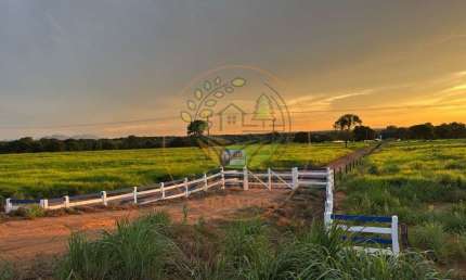 EXCELENTE! FAZENDA DE 251 ALQUEIRES NA REGIÃO DE PEIXES - TO  FA00277