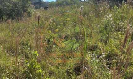 ÁREA RURAL A VENDA COM 23 HECTARES EM ARANTINA - MG  AR00101