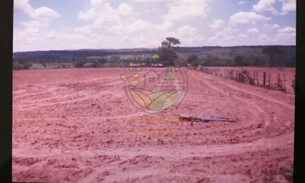 OPORTUNIDADE! FAZENDA  DE 1.350 HECTARES NA REGIÃO DE JOÃO PINHEIRO - MG  FA00292