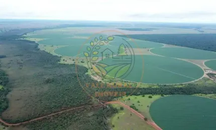 EXCELENTE FAZENDA DE ALTA PRODUTIVIDADE EM JUSSARA - GO  FA00295