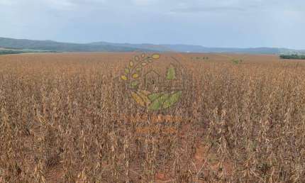 FAZENDA NA REGIÃO DE CALDAS NOVAS - GO COM 716 ALQUEIRES  FA00294