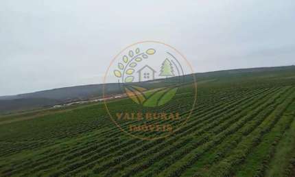 EXCELENTE FAZENDA DE CAFÉ A VENDA EM MINAS GERAIS  FA00301