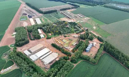 EXCELENTE FAZENDA EM CAMPO VERDE- MATO GROSSO  FA00303