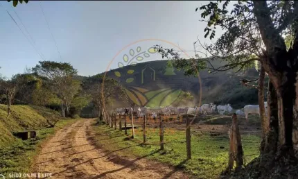 Fazenda de 106 alqueires na região de são josé dos campos- sp  fa00305