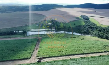 EXCELENTE! FAZENDA COM PLANTAÇÃO DE CANA EM GOIÁS  FA00310