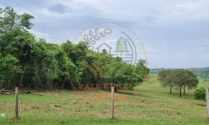 Fazenda de 46 alqueires na região de morrinhos - go  fa00312