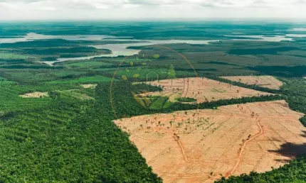 Oportunidade! maravilhosa fazenda de 2.500 hectares em roraima  fa00316