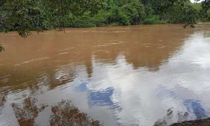 Chácara / sítio com 2 quartos à venda na Rio dos Bois Municipio de Cezarina, 1, Setor Central, Cezarina por R$ 370.000