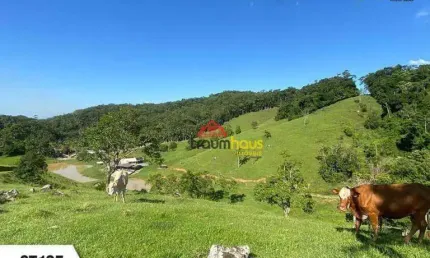 Sítio com 3 dormitórios à venda, 206437 m² por R$ 2.200.000,00 - Vila Itoupava - Blumenau/SC