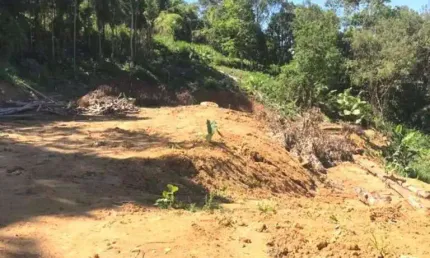 Terreno à venda, 7.199 m² por R$ 180.000 - Vila Itoupava - Blumenau/SC