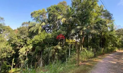 Terreno à venda, 5145 m² por R$ 260.000,00 - Itoupava Central - Blumenau/SC