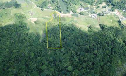 Terreno à venda, 25.000 m² por R$ 430.000 - Vila Itoupava - Blumenau/SC