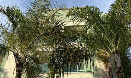Apartamento à venda em Jaguariúna, São Pedro, com 2 quartos, com 55 m²