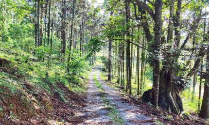 Área de terra com vista à venda em Nova Petrópolis na Serra Gaúcha