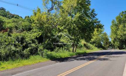 Área de terra às margens da BR 116 em Picada Café na Serra Gaúcha