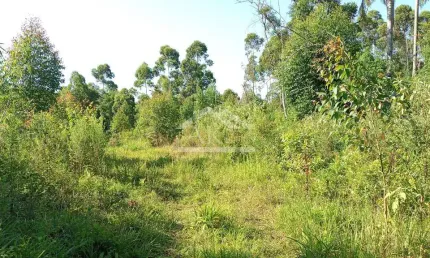 Área de terras em à venda no interior de Nova Petrópolis na Serra Gaúcha