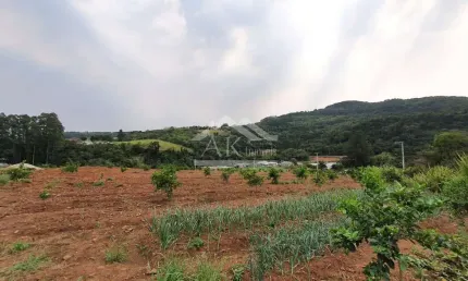 Bela área à venda às margens de rodovia estadual de São José do Hortêncio-RS