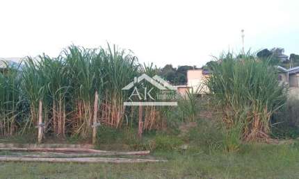 Terreno plano a venda na cidade de São José do Hortêncio, na Serra Gaúcha