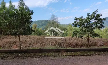Belo terreno em declive a venda em picada café na serra gaúcha