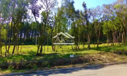 Terreno arborizado a venda em loteamento central de picada café, na serra gaúcha