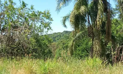 Terreno em loteamento residencial em Nova Petrópolis, na Serra Gaúcha