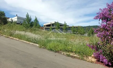 Terreno com vista, à venda, no centro de picada café, na serra gaúcha