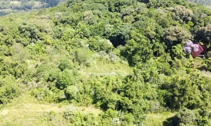 Amplo terreno à venda na cidade de Picada Café na Serra Gaúcha