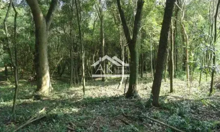 Terreno arborizado, margeado por rio, a venda em picada café, na serra gaúcha