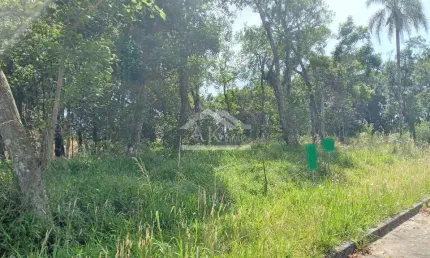 Terreno arborizado à venda em Nova Petrópolis, na Serra Gaúcha