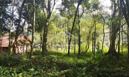 Amplo terreno arborizado à venda em picada café na serra gaúcha