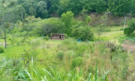 Amplo terreno com vista, às margens da br 116, à venda em picada café, na serra gaúcha